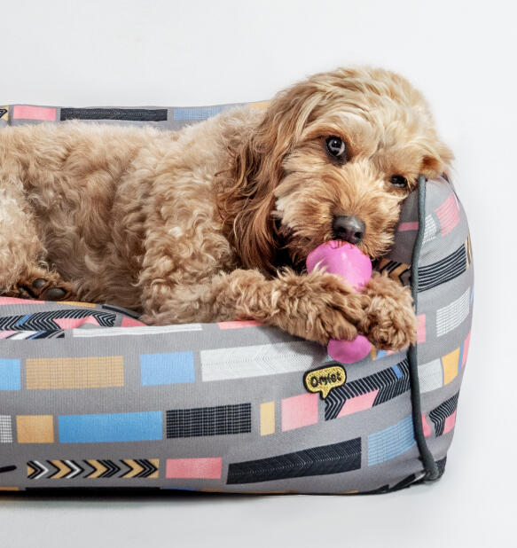 supportive and stylish designer nest dog bed by omlet