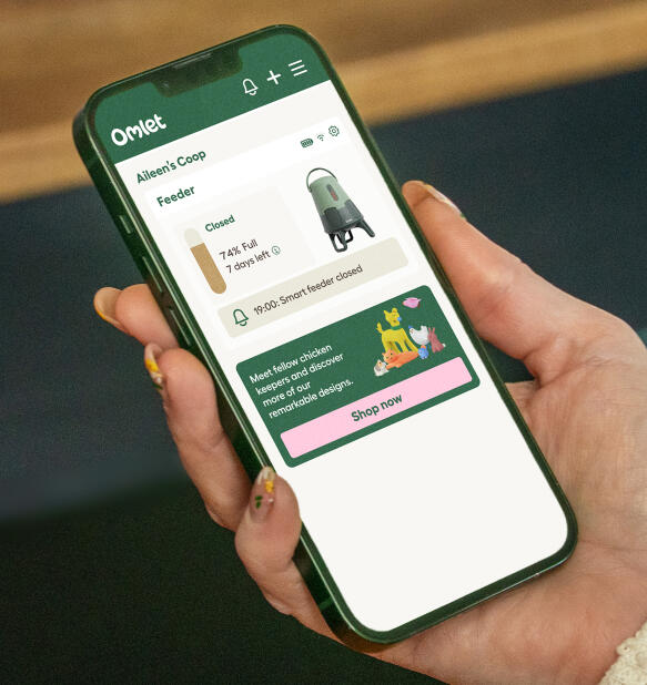 app screen close up with automatic chicken feeder status