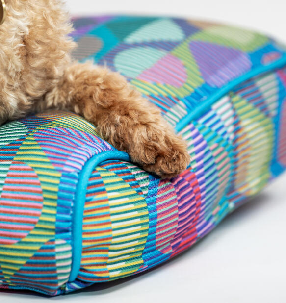 close up of a paw on a brightly coloured patterned cushion dog bed