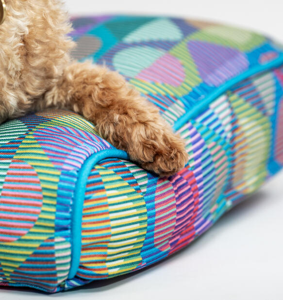Cushion Dog Bed Omlet