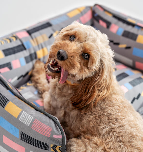 easy to clean nest dog beds by omlet