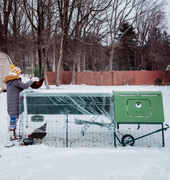 A woman tending to her chickens in the snow