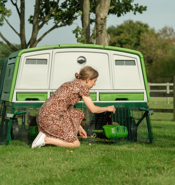 A woman opening the doors at the bottom of the Eglu Pro chicken coop