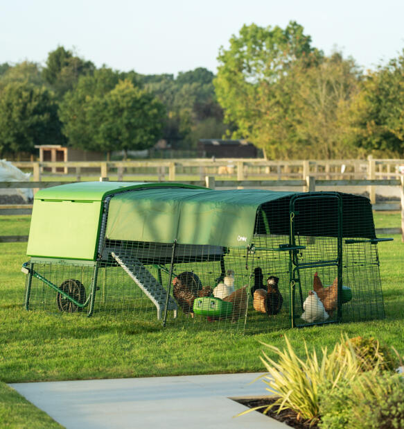 Chickens in the run of an Eglu Pro chicken coop with heavy duty weather protection cover.