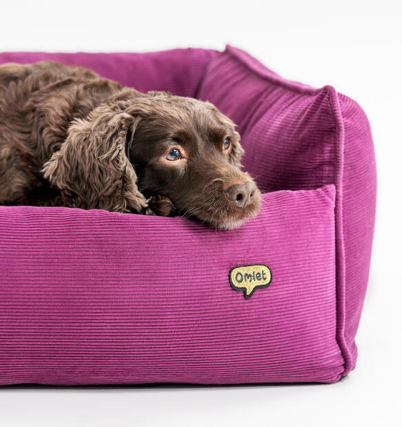 tough and durable nest dog beds by omlet