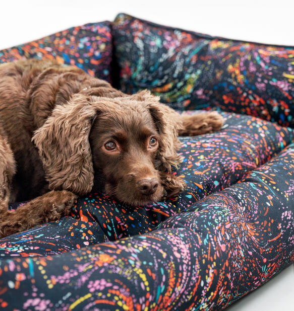 designer patterned nest dog beds by omlet