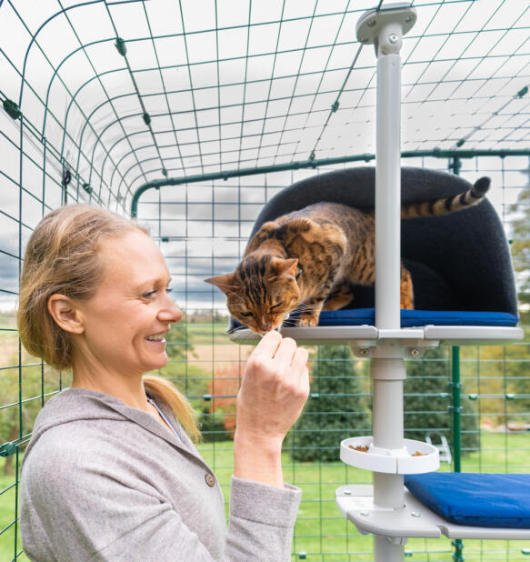 A woman stroking her cat on the freestyle cat tree