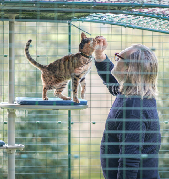 A man spending time with his cat on the outdoor freestyle cat tree