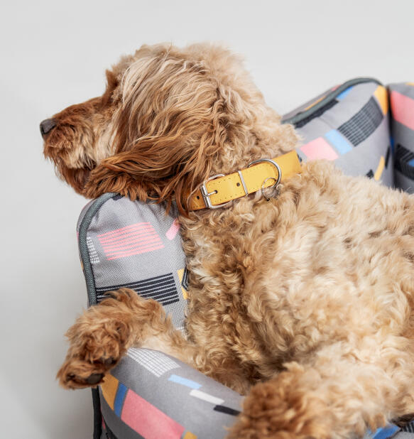comfortable nest dog beds by omlet