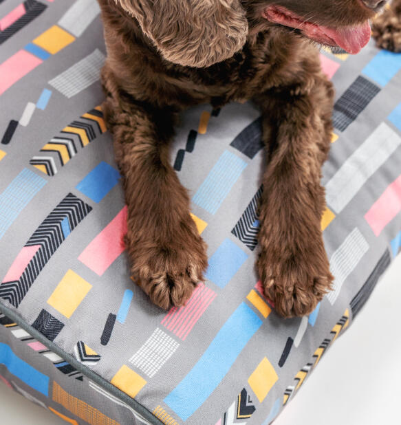 dog paws on bounce grey cushion bed