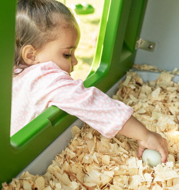 little girl reaching into a nesting box to collect an egg