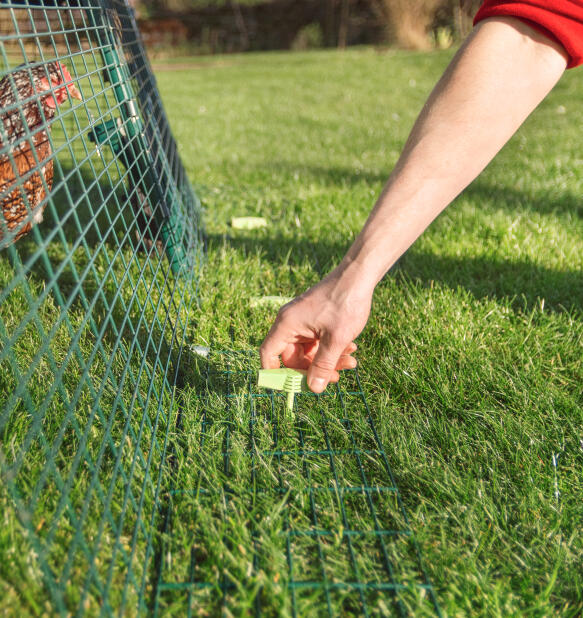 use ground pegs to securely fix your coop run in place
