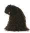 A healthy adult Puli with a wonderful, thick dreadlock style coat