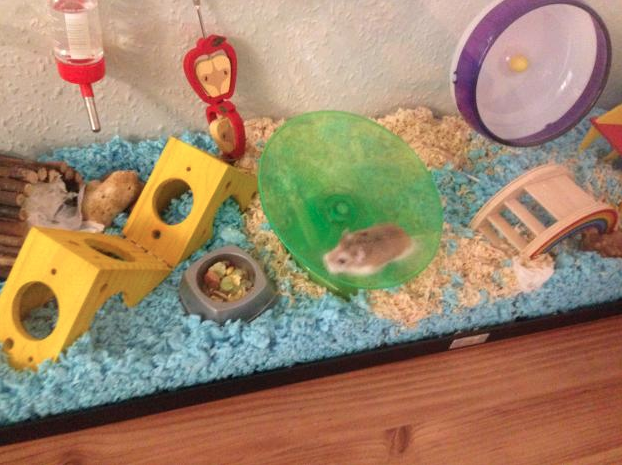 blue hamster bedding