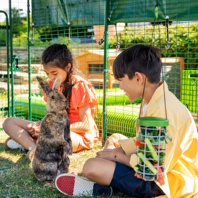 Kids and rabbits playing inside a large outdoor rabbit run