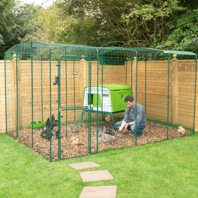 Man feeding his chickens inside Omlet Chicken Walk in Run with Green Eglu Large Chicken Coop next to him