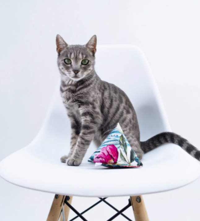 Minoumi Handmade Cat Toy Catnip Big Pyramid Toys Outdoor