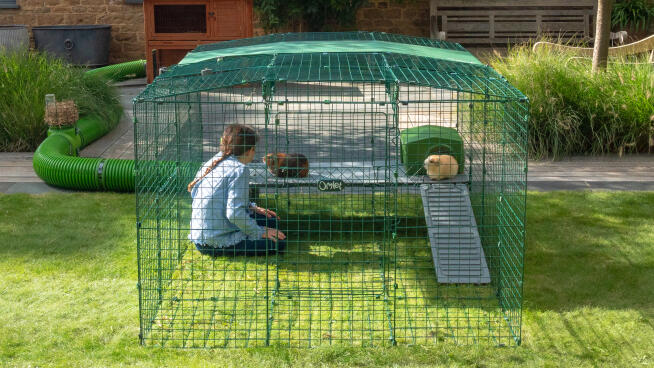 Guinea Pig Zippi Runs and Playpens Guinea Pig Zippi Runs and Playpens