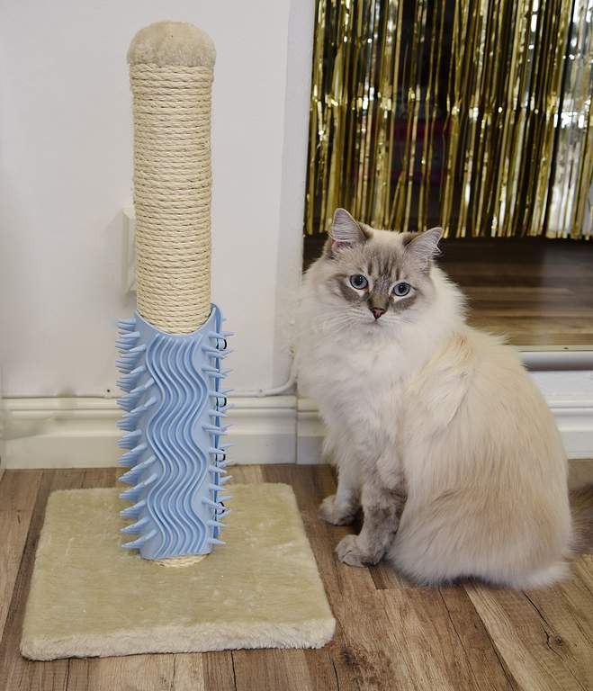 Igloo Beauty Grooming Post Large Blue Scratching Posts Outdoor Cat