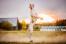 Bracco Italiano dog jumping in a field at sunset