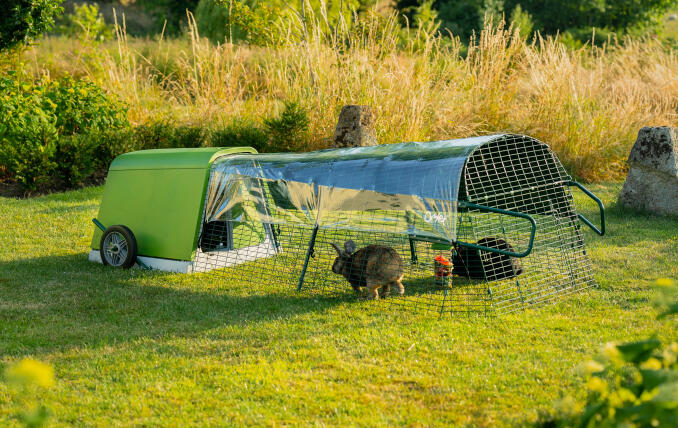 An Eglu Go Hutch set up in the garden with two rabbits in the run.