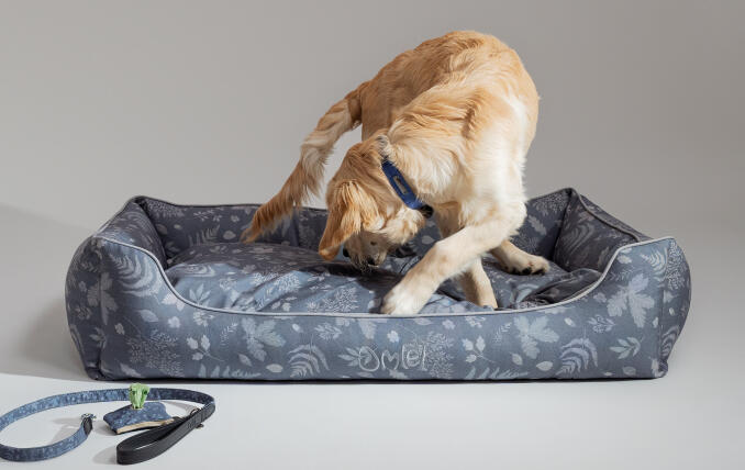 Retriever on a large sustainably made designer Omlet Nest Dog Bed