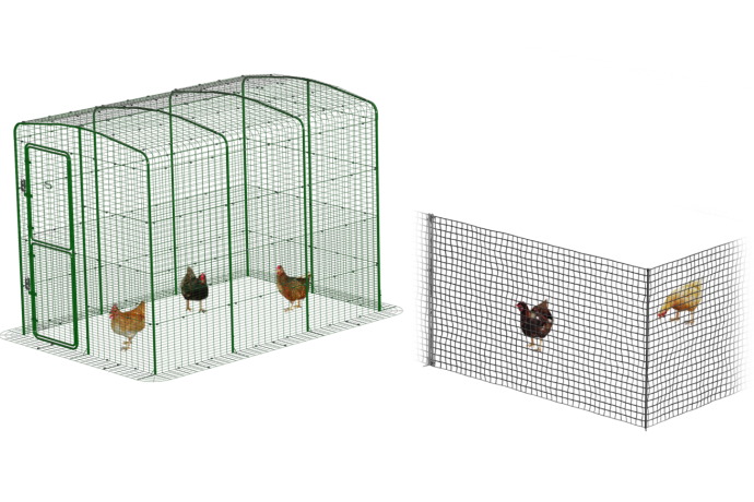 walk in run and chicken fencing