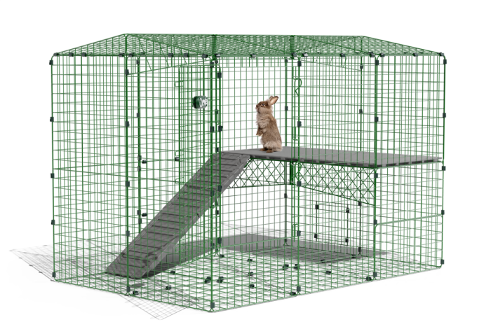 zippi rabbit run