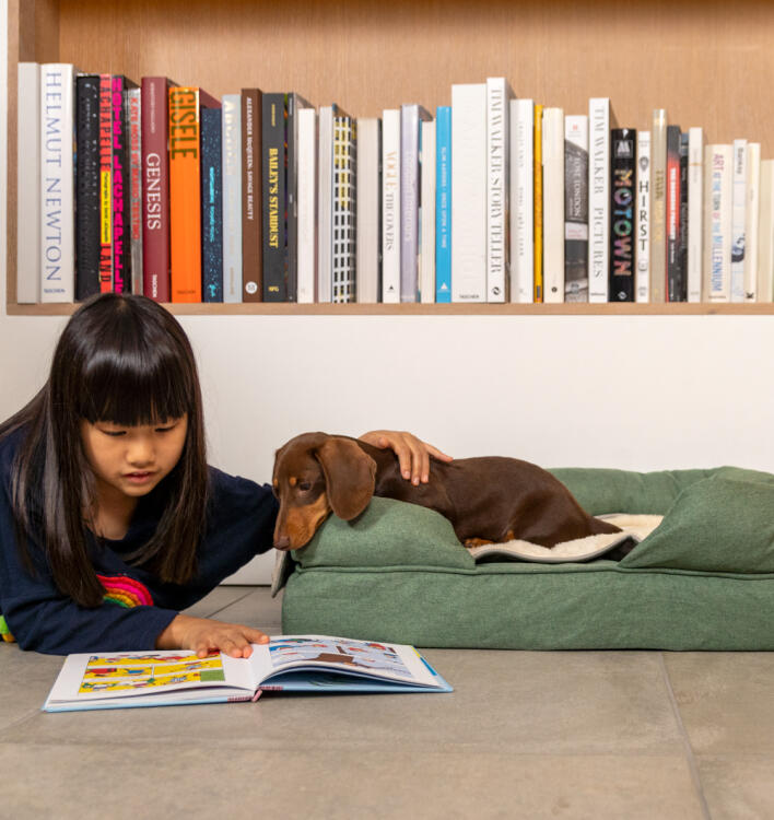 Little girl stroking a sausage dog in a green bed while looking at a a book