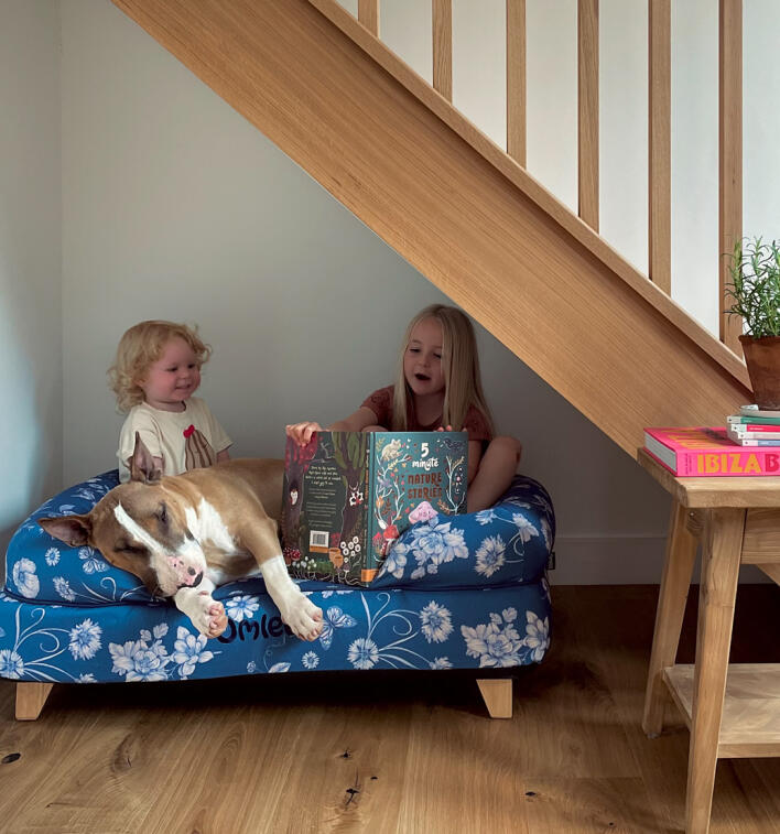 Children reading to dog on memory foam bolster dog bed