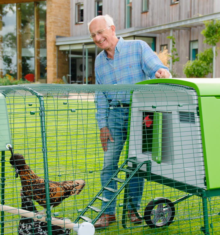 Homme âgé en chemise à carreaux regardant ses poules dans leur poulailler avec parcours