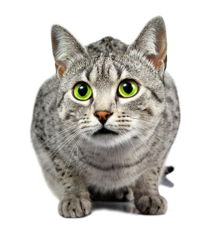 My Image 30