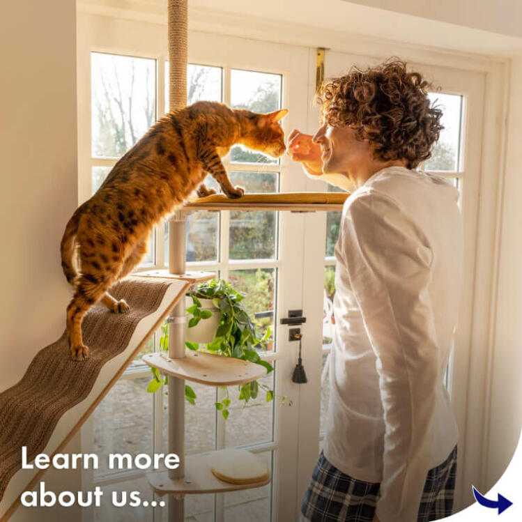 Discover more about the company Omlet