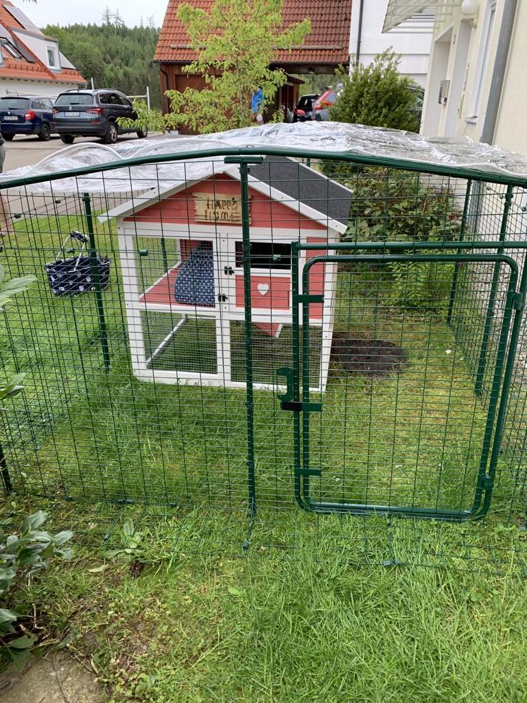 Outdoor Guinea Pig Run Large Outdoor Guinea Pig Enclosure Guinea