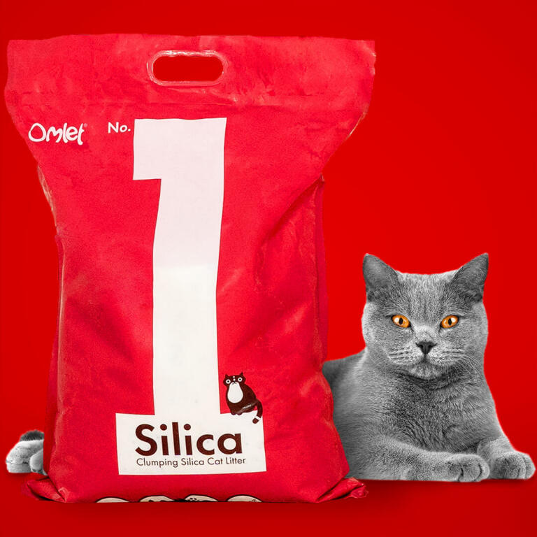 silica for cats