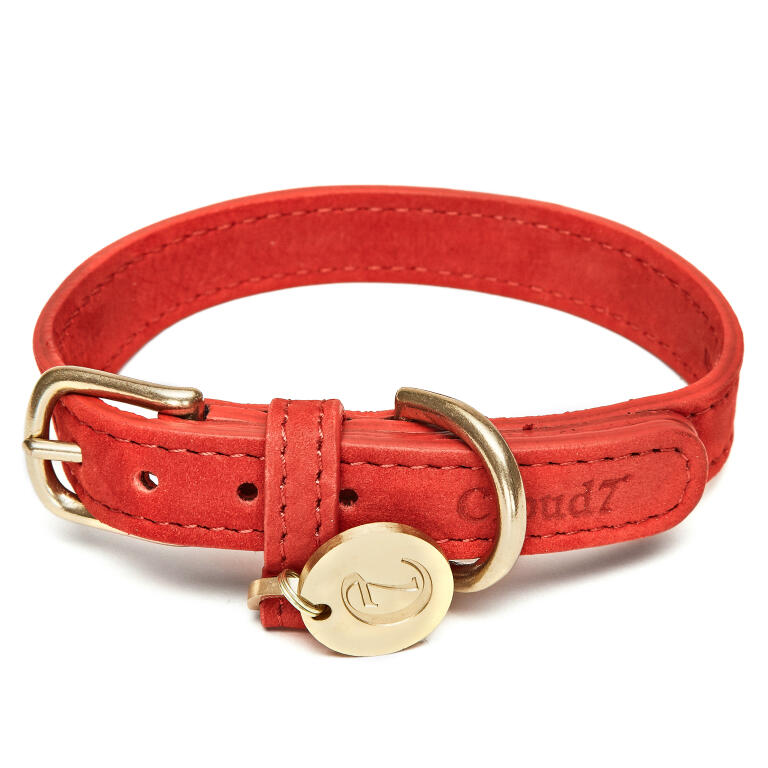 luxury leather dog collars