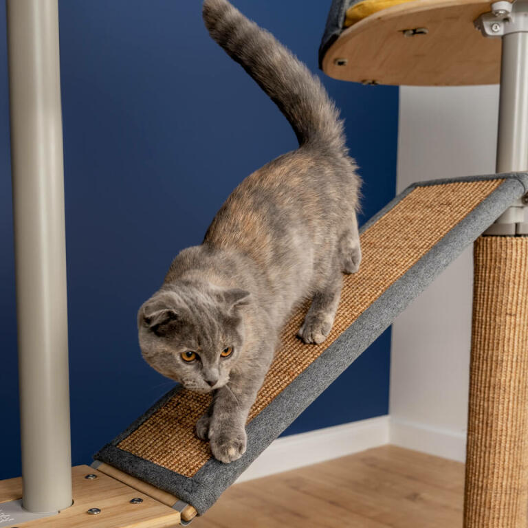 horizontal scratching post