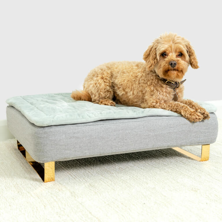 Base with Metal Rail Feet for Omlet Dog Beds Gold Medium Pack of