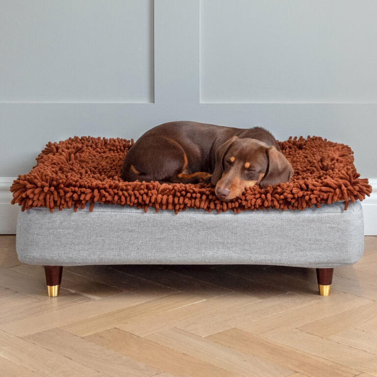 Topology Dog Bed with Microfibre Topper and Brass Cap Wood Feet Small