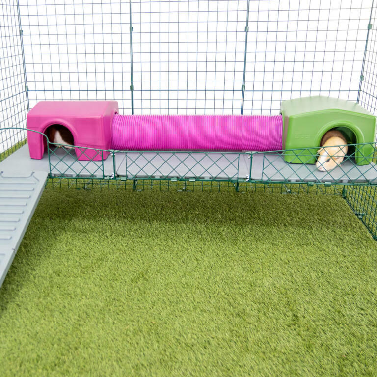 Zippi Guinea Pig Platforms 3 panels with Green Shelter and Play