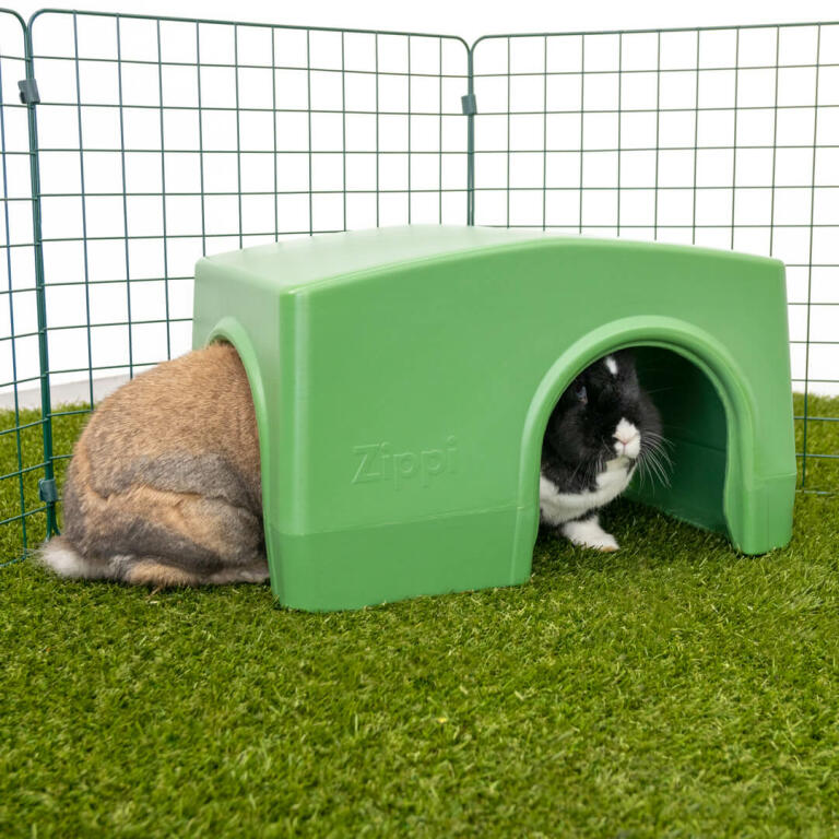 Zippi Rabbit Shelter Green Omlet