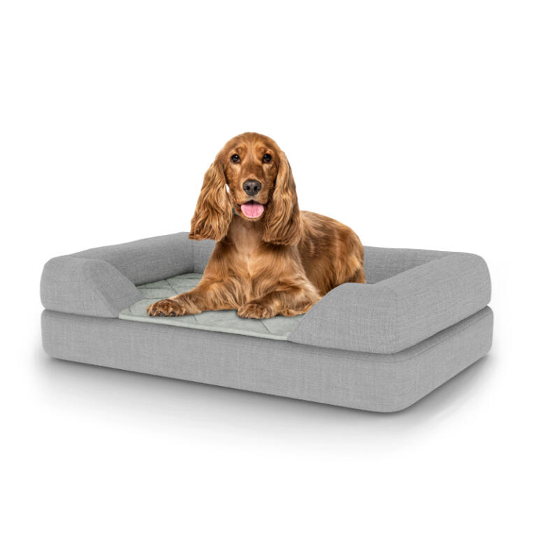 Medium Luxury Easy to clean dog bed with Bolster Topper