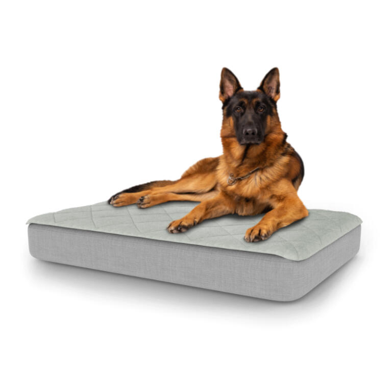 large serta dog bed