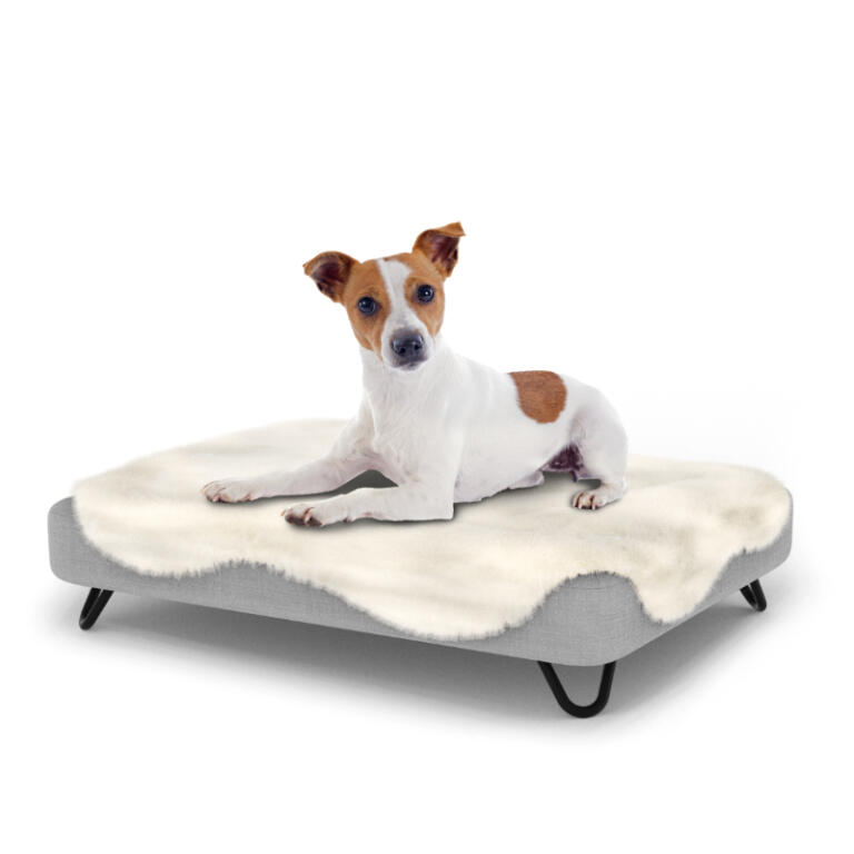black white dog bed