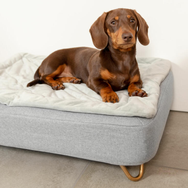 Topology Quilted Topper Grey Medium Topology® Dog Bed Mattress
