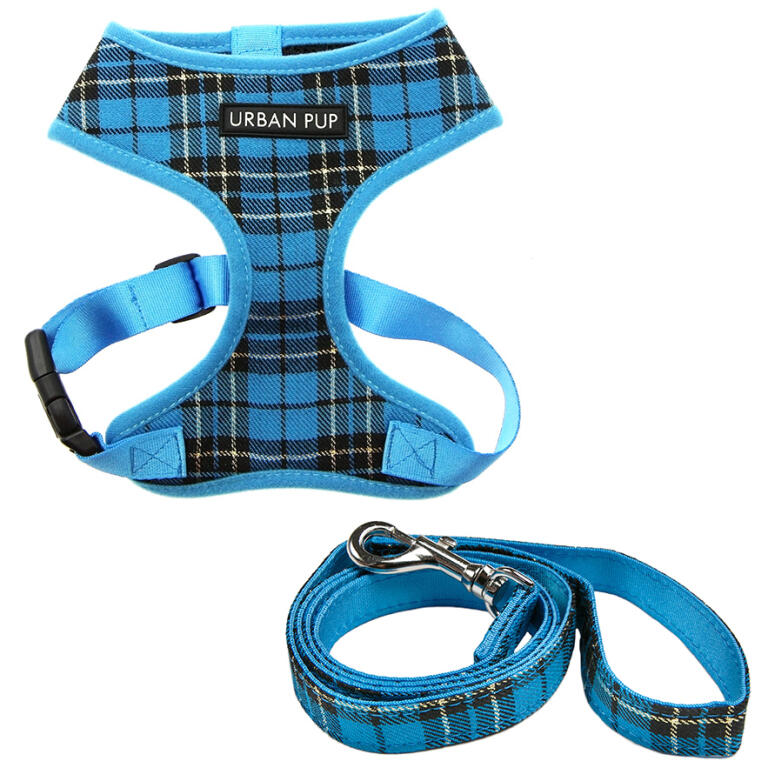 Tartan dog harness and lead clearance