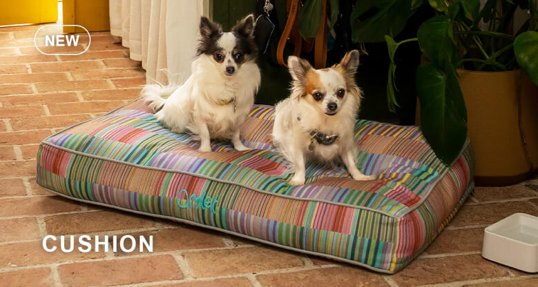 Dog Walk Collection Cushion Dog Bed