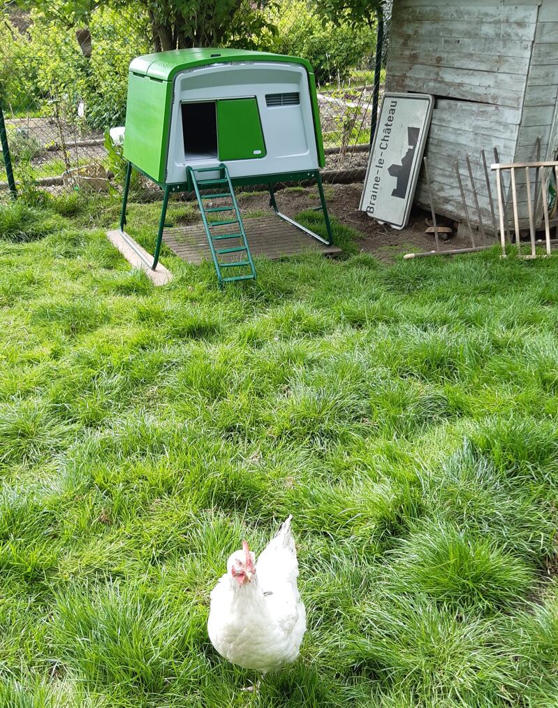 Large Eglu Cube Chicken Coops and Runs Easy to Clean Safe Hen House