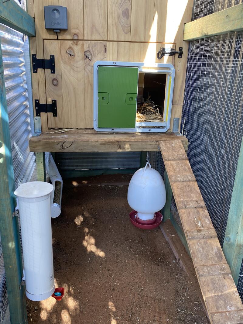 Automatic Chicken Coop Door Opener Omlet