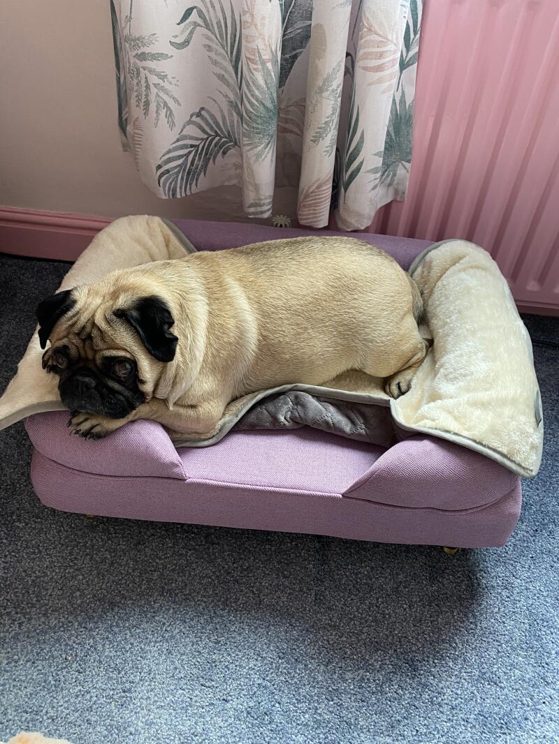 Verified Reviews for Base with Brass Cap Wood Feet for Omlet Dog Beds